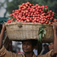 A vendor with lychees in India (Image: AP)